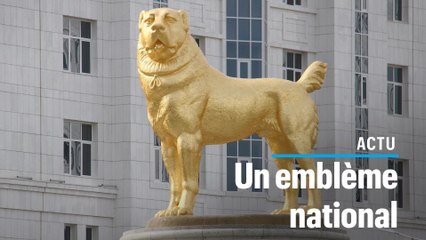 Le dictateur du Turkménistan fait ériger une statue  en or de son chien préféré
