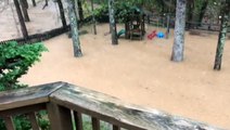 Backyard submerged by severe flooding
