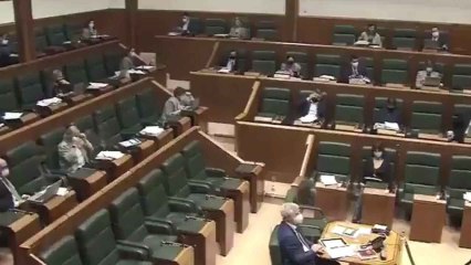 Bildu dice que negocia los PGE en Madrid "para tumbar el régimen en beneficio de los pueblos"