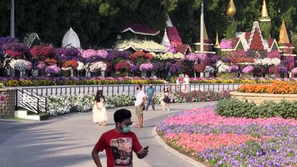 "الحديقة المعجزة" في دبي فتحت أبوابها مجددا للموسم التاسع