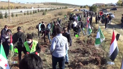 DPÜ'lü uluslararası öğrenciler 500 selvi fidanını toprakla buluşturdu