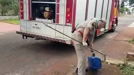 Cobra é capturada em imóvel no Parque dos Ipês
