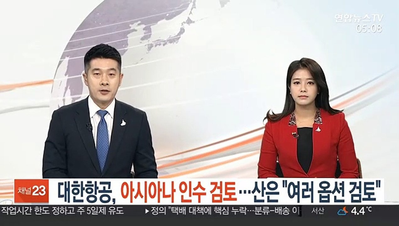 대한항공, 아시아나 인수 검토…산은 "여러 옵션 검토"