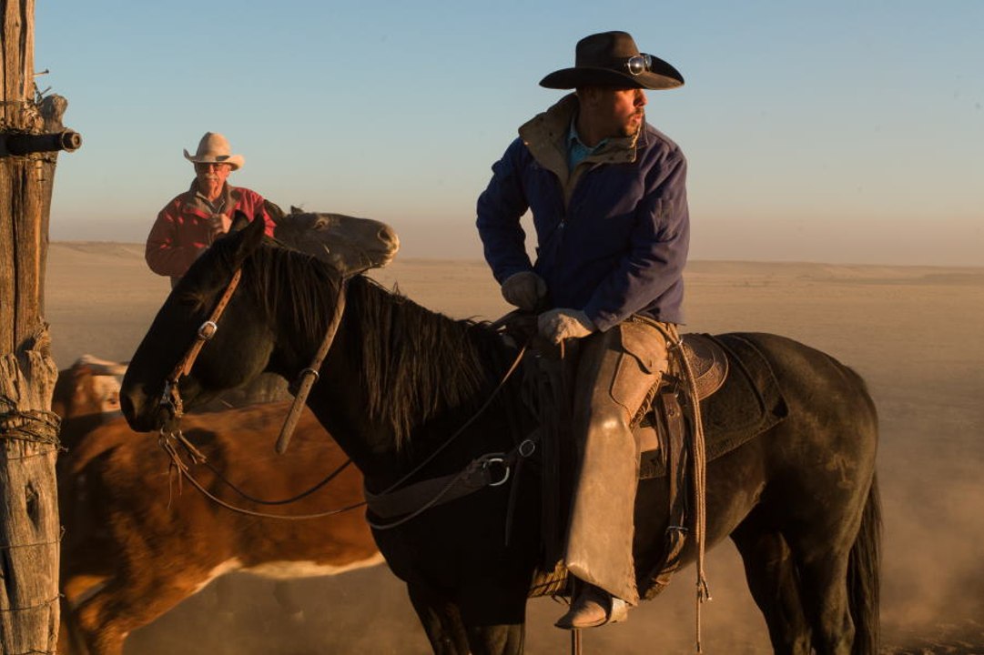 Cowboys A Documentary Portrait