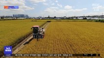 [뉴스터치] 쌀 생산량 52년 만에 최저치 기록