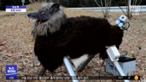 [이슈톡] 야생 곰 피해 예방 일본 '로봇 늑대' 화제