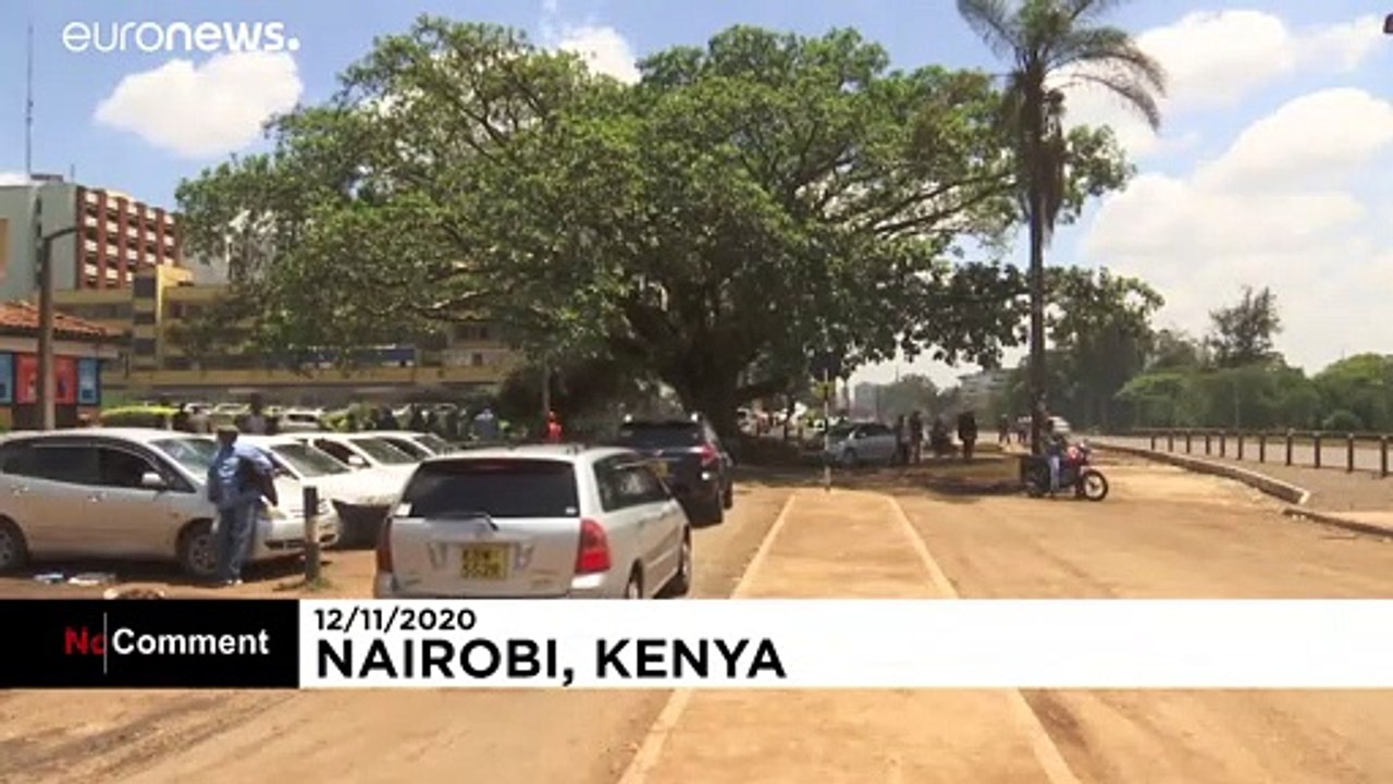 Heiliger baum verhindert autobahn durch nairobi