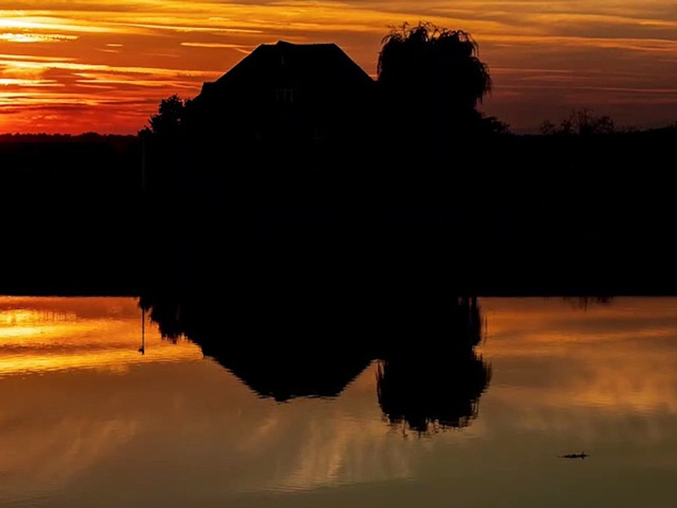 Slowmotion Prosecco      |      COSE  INVISIBILI       |      Arte     |    Videoarte    |      5     |