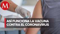 ¿Qué es el Adenovirus 5 y por qué es importante para la vacuna contra el covid-19?