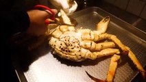 Viajando pela Coréia, pela viagem pelo mundo, vi um chef fazendo caranguejos reais.