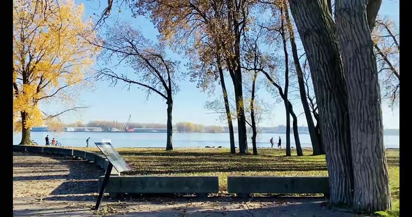 ERIE PA Presque Isle - Shot with iPhone 11 Pro Max