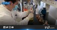 #PorTuSalud: El coronavirus puede alterar el ADN de los espermatozoides