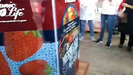 record guiness irapuato de fresas