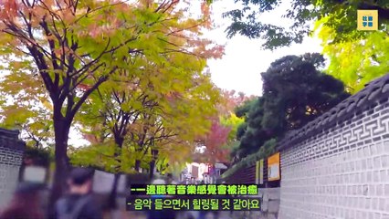 │社畜中字│SKZ VLOG Felix : Sunshine Vlog 2│