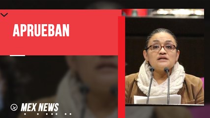 DIPUTADOS AVALARON EL RECONOCIMIENTO DEL ESPAÑOL Y LENGUAS INDÍGENAS COMO IDIOMAS NACIONALES