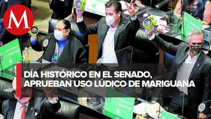 ¿Cómo se vivió la aprobación en el Senado del uso lúdico de la mariguana?