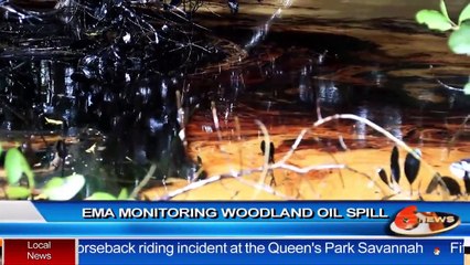 Environmental Management Authority monitoring Woodland Oil spill