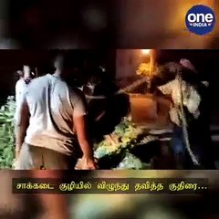 Download Video: ஈரோடு சாக்கடை குழியில் விழுந்து தவித்த குதிரை.. போராடி மீட்ட தீயணைப்பு வீரர்கள்..!