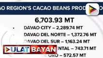 Davao City, may pinakamataas na Cacao beans production sa buong Region XI