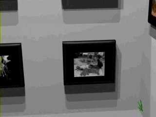 Expo photos