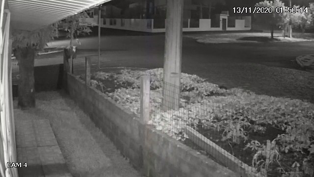 Caminhão de Cascavel carregado com maconha: Vídeo mostra veículo perdendo os freios e descendo a via 'de ré'