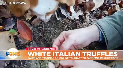 Alba's famous truffle fair held online amid COVID restrictions in Italy