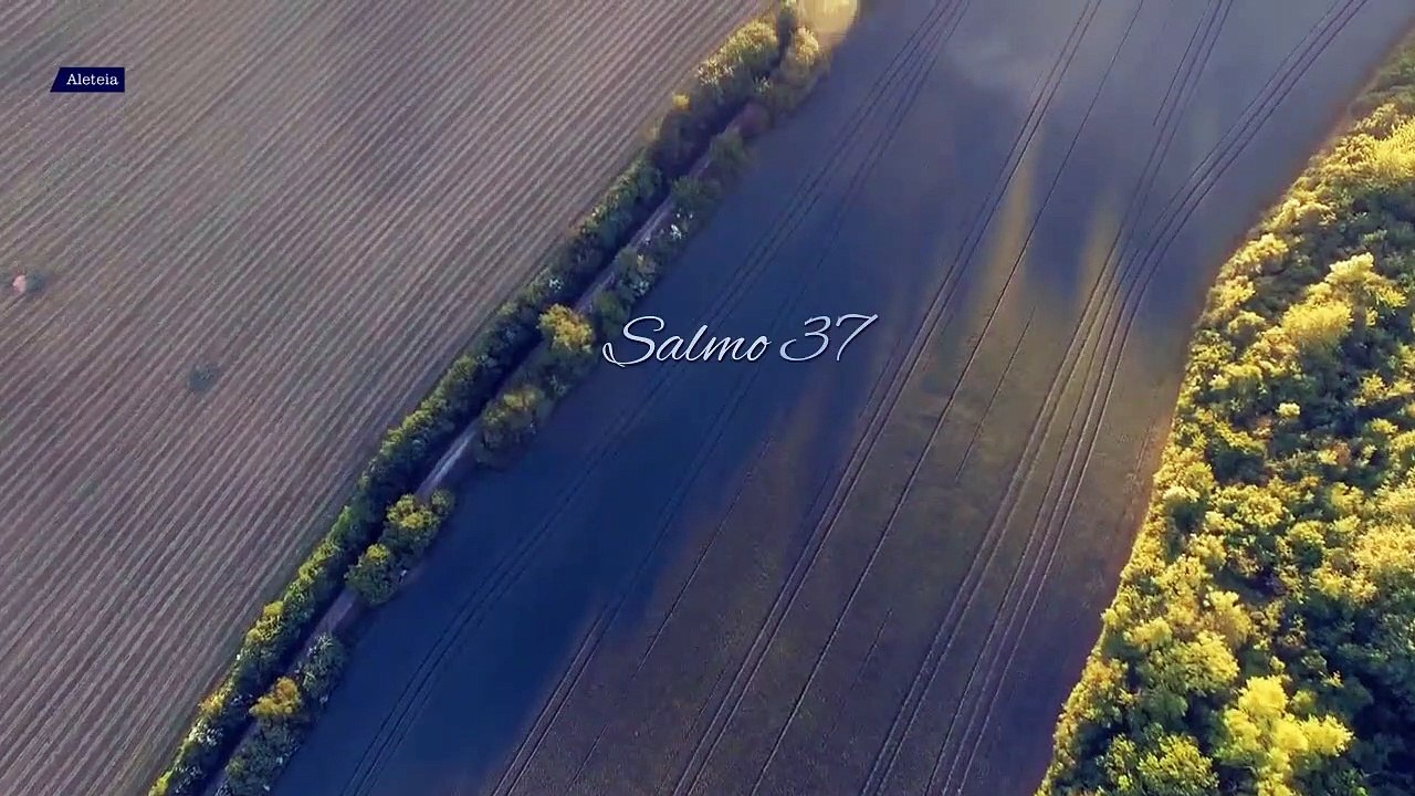 Salmo del día (10.11.2020)