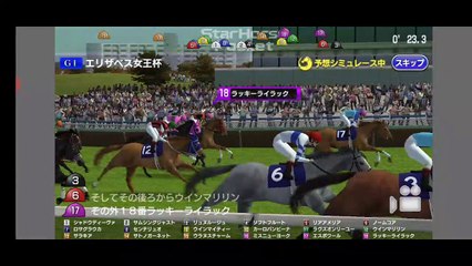 2020 GⅠエリザベス女王杯 レースシュミレーション