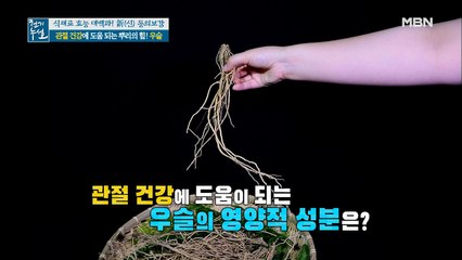 관절 건강에 도움 되는 뿌리의 힘! 우슬