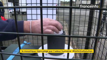Dans les Landes, des pièges imitent l’odeur humaine pour neutraliser les moustiques tigres