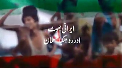 how muslim trying to help of rohgyna muslim in maymar