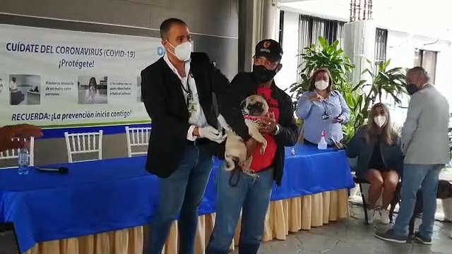 Jornada nacional de vacunación antirrábica de perros y gatos