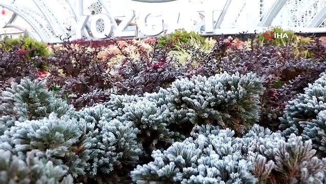 Hava Sıcaklıkları Düştü, Yozgat Buz Tuttu