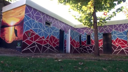 İzmir Depreminin Simgeleri Elif ve Ayda Bebeğin Resimleri Diyarbakır'da Duvarlara Çizildi