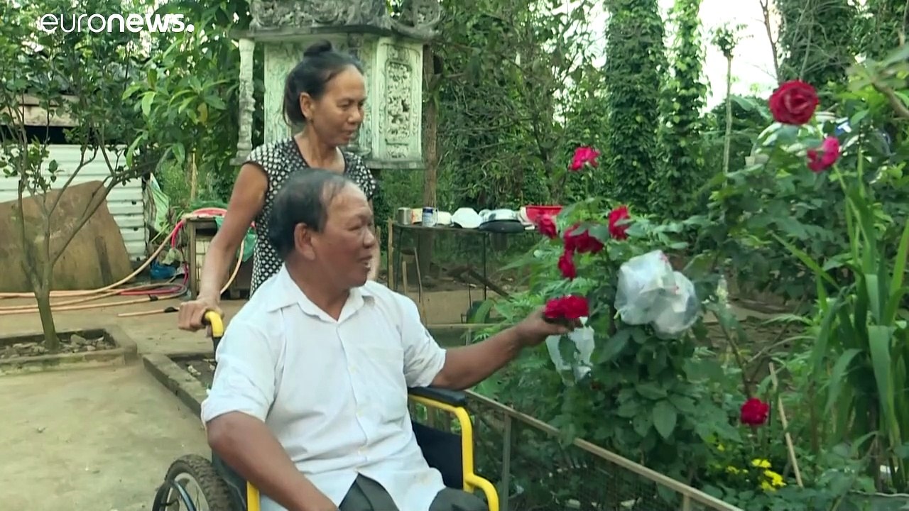 38 Jahre nach dem Krieg: Falklandinseln minenfrei