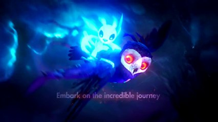 Ori and the Will of the Wisps Optimized