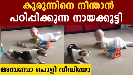 Pet Dog Teaches Baby How To Crawl:viral video | Oneindia Malayalam