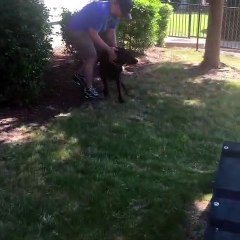 Excited Doggy Reunites with Her Owner