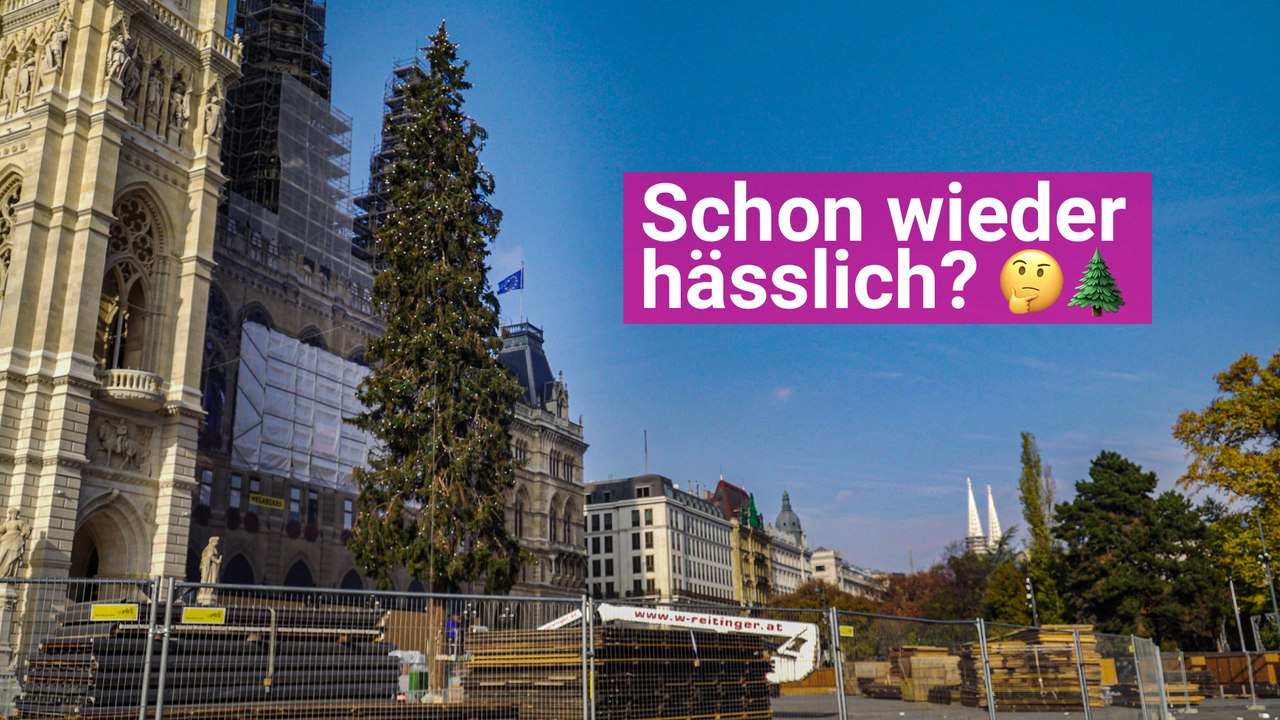 Schon wieder ein hässlicher Baum?