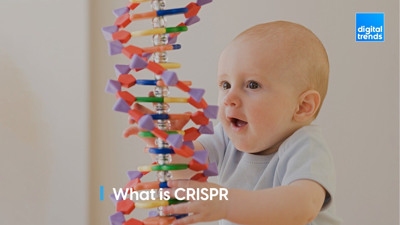 CRISPR gene editing explained in 60 seconds