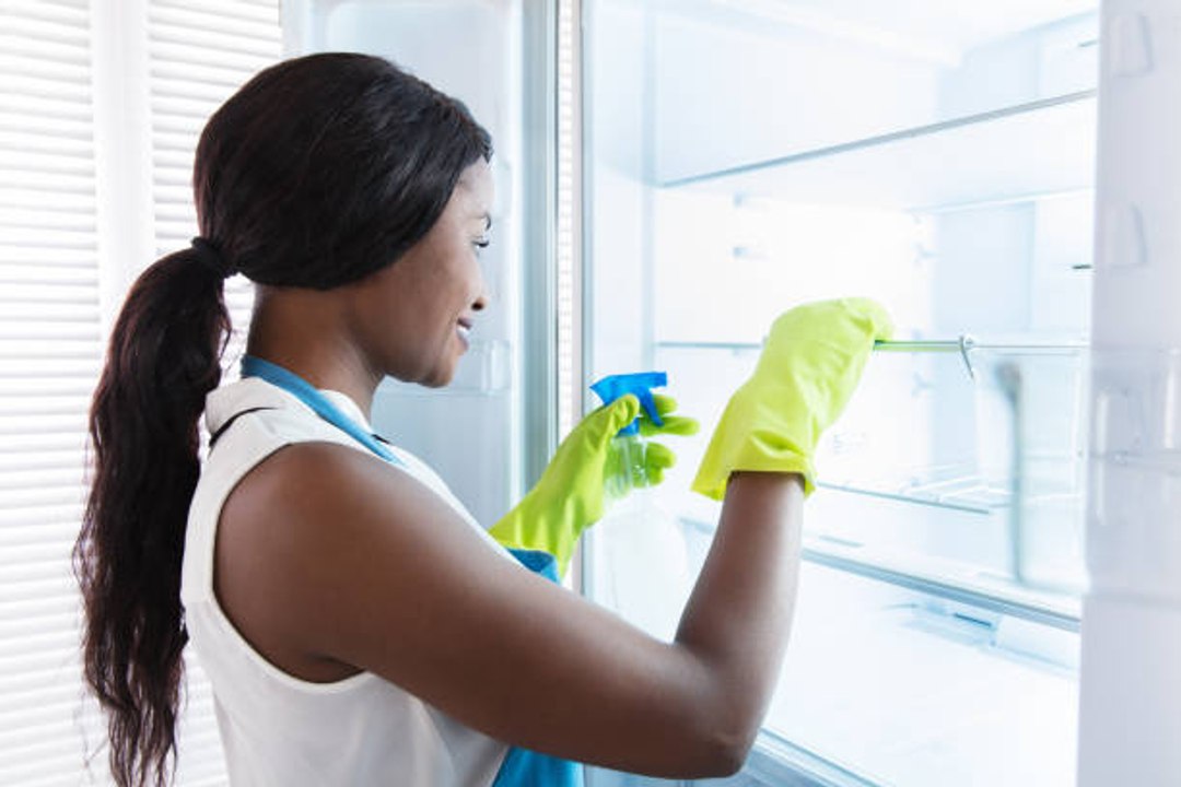 7 Steps to Cleaning Out Your Fridge (National Clean Out Your Fridge Day)