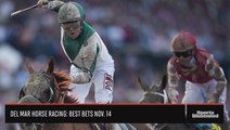 Desi Arnaz Stakes: Exacta, Trifecta, Odds and Best Bets
