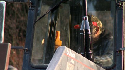 (13-11-2020) TOPO arbres noel