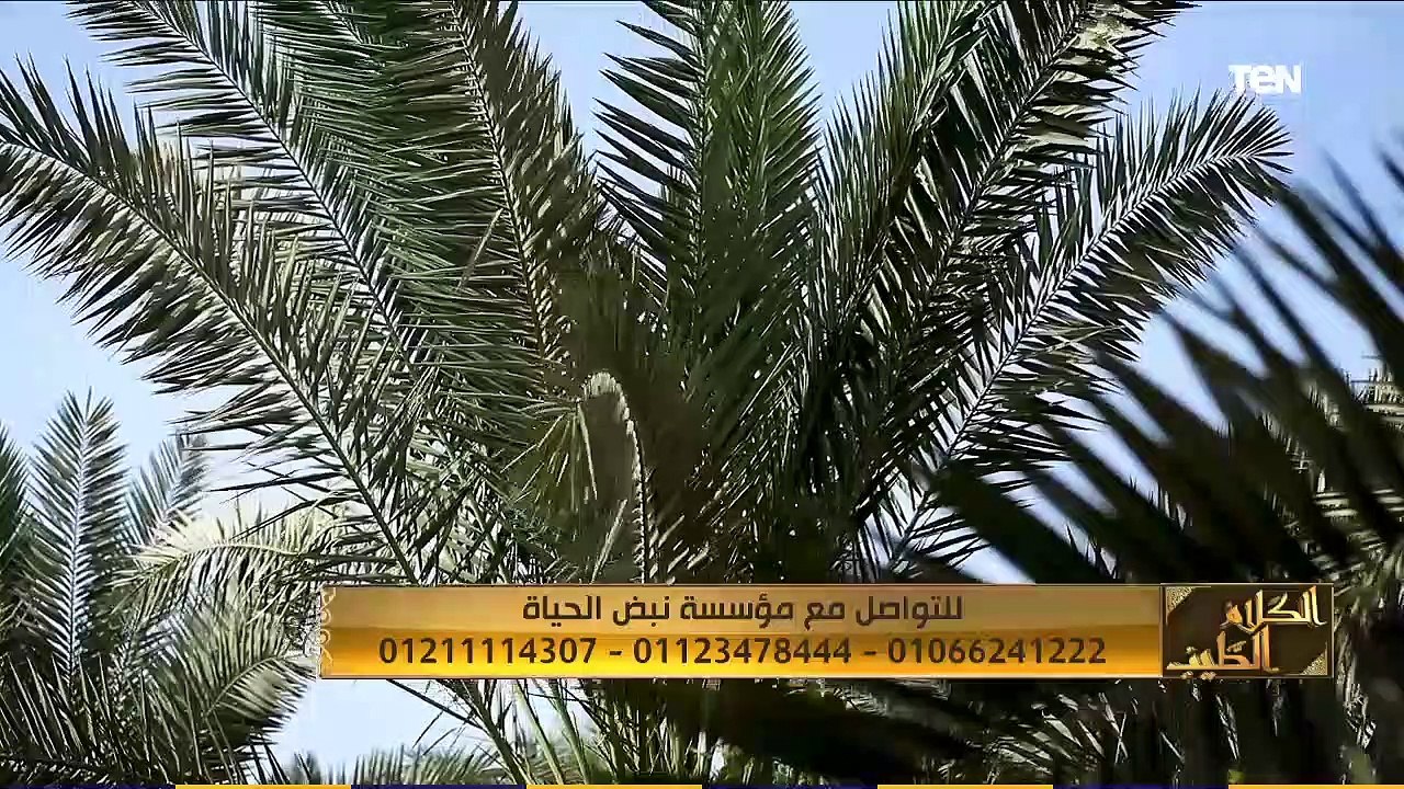 الكلام الطيب مع الدكتور احمد صبري  | تعامل الرسول مع العصاة حلقة الجمعة 13-11-2020