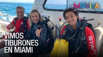 ¿Tiburones en Miami? Buceamos con Achi Divers - La Movida Miami - VPItv