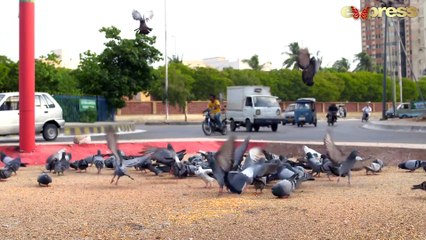 Saza e Ishq - Episode 40 Last | Express TV