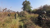 11 PAK soldiers killed in retaliatory fire at LoC