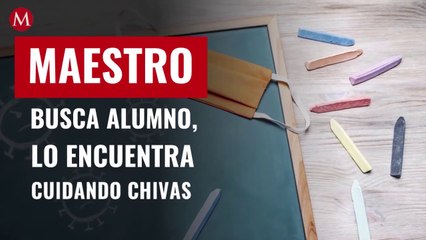 Maestro en Tamaulipas acude a vigilar a niño que no entrega tareas, lo encuentra cuidando rebaño