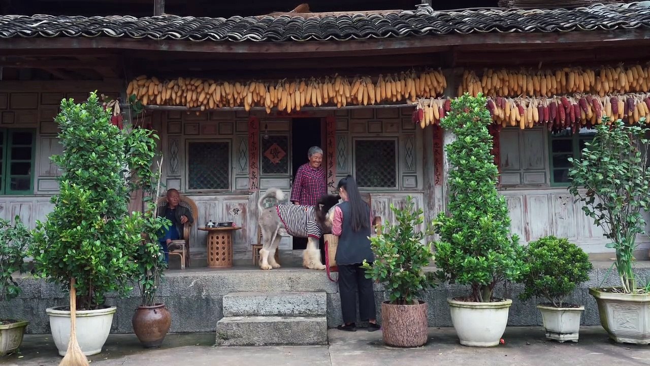 Delicacies from Shangri-La Highland of Yunnan - Tibetan Dishes 寻找云南香格里拉高原上的舌尖美味__藏餐【滇西小哥]