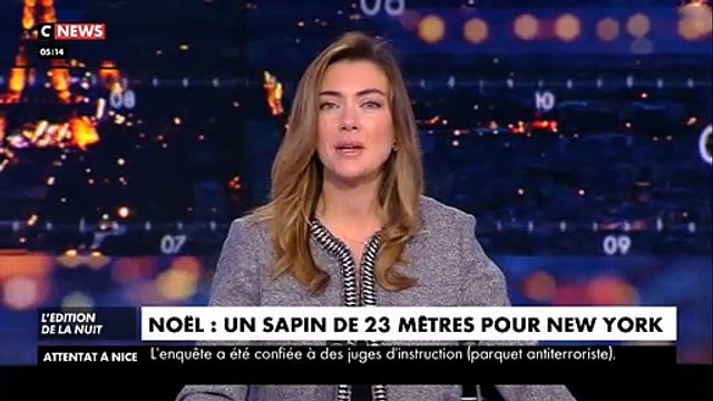 New York : Le sapin de Noël du Rockefeller Center, un des plus célèbres du monde, vient d être coupé et va mesurer plus de 23 mètres cette année